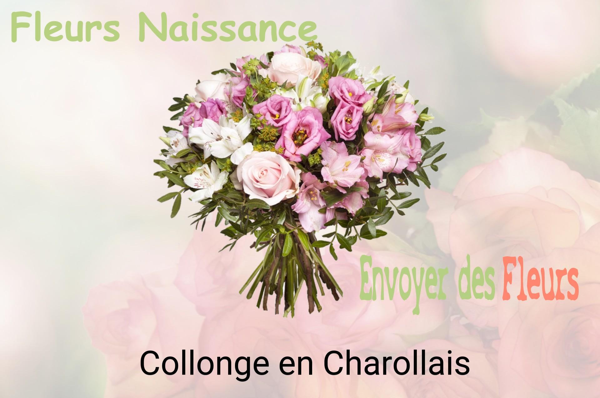 Bouquet de fleurs de naissance livré à Collonge-en-Charollais
